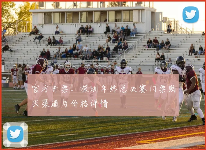 官方开票！深圳年终总决赛门票购买渠道与价格详情