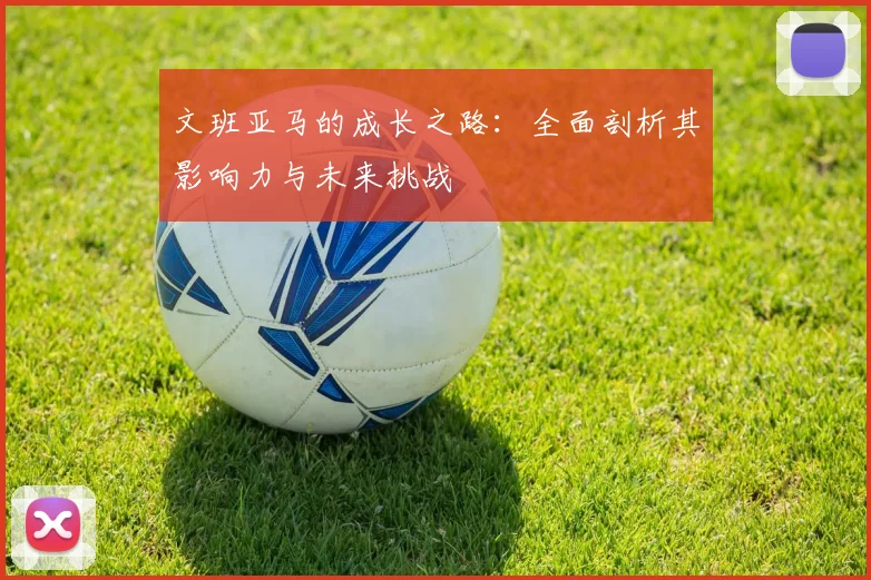 文班亚马的成长之路:全面剖析其影响力与未来挑战