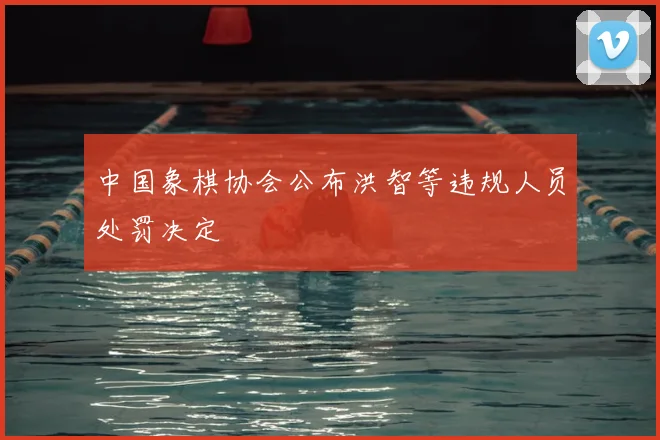 中国象棋协会公布洪智等违规人员处罚决定