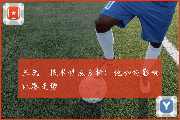 王岚嵚技术特点分析:他如何影响比赛走势